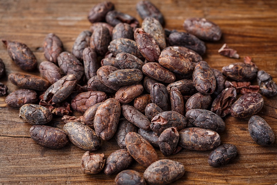 Diferencia entre Cacao y Cocoa